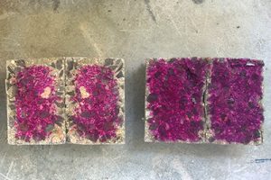 muestras rosas ag corrosion